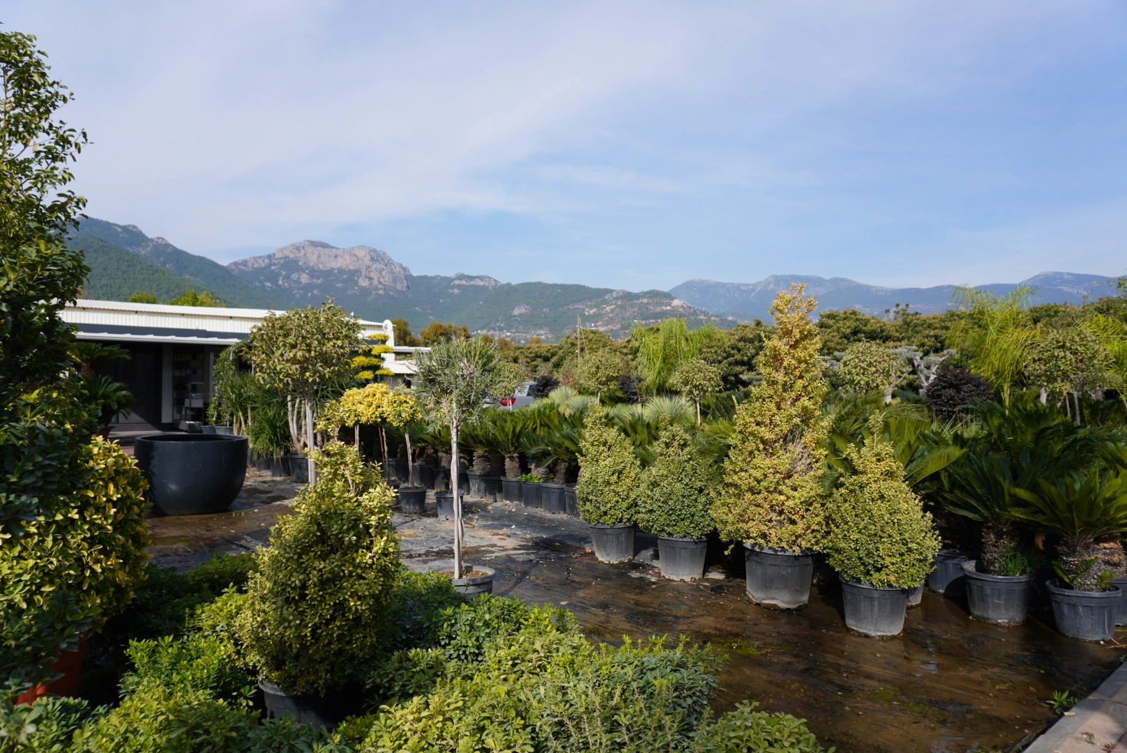Verdeon Garden Ofis Fotoğrafı 1