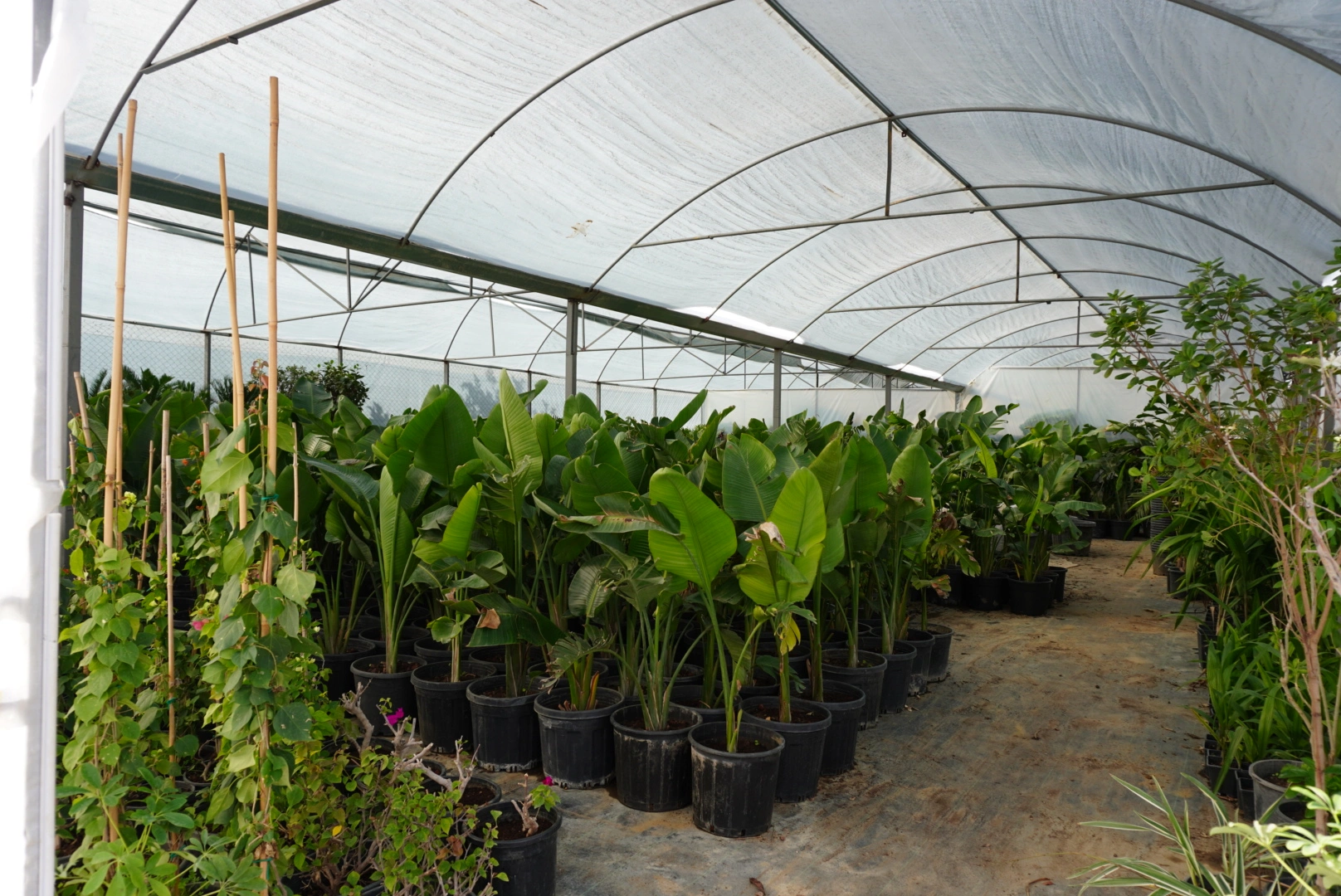 Verdeon Garden Ofis Fotoğrafı 2